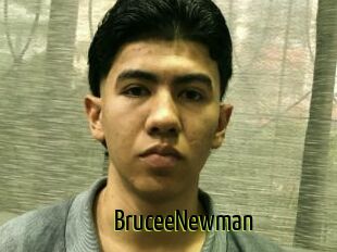 BruceeNewman