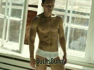 BucksBunny