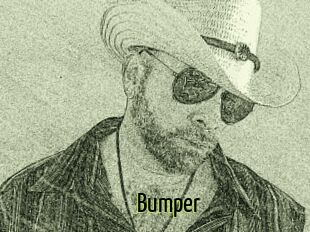 Bumper