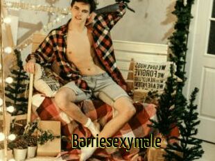 Barriesexymale