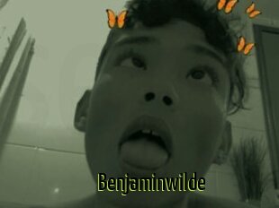Benjaminwilde