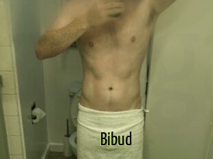 Bibud