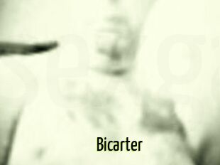 Bicarter