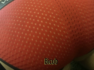 Bicub