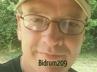 Bidrum209