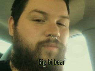 Big_bi_bear