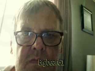 Bigbear61