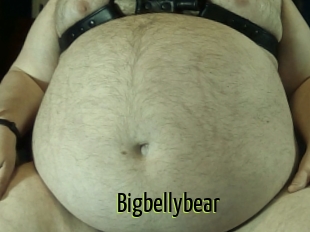 Bigbellybear
