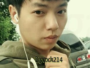 Bigcock214