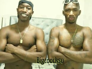 Bigcoocksu