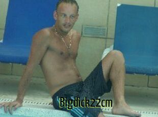 Bigdick22cm