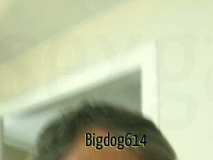 Bigdog614