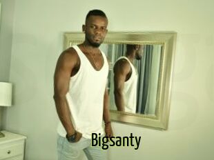 Bigsanty