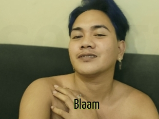 Blaam