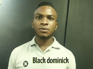 Black_dominick