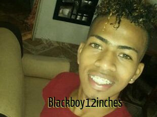 Blackboy12inches