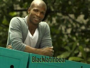 Blacklatinbear