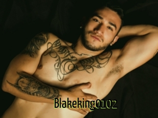 Blakeking0102