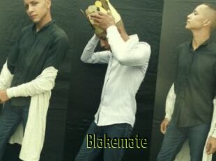 Blakemate