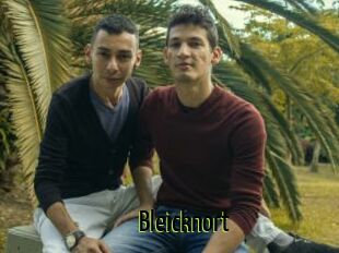 Bleicknort