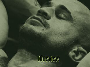 Blueview