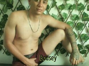Bodsey
