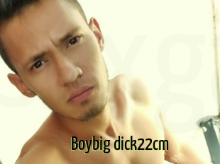 Boybig_dick22cm