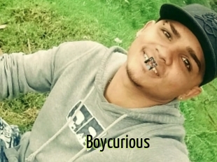 Boycurious