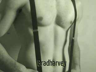 Bradharvey
