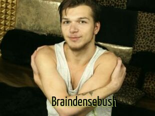 Braindensebush