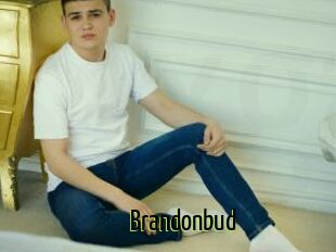 Brandonbud