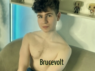 Brucevolt