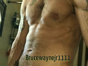 Brucewaynejr1111