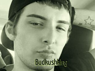 Budkushking