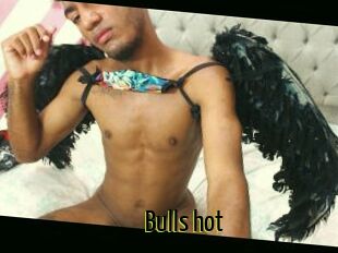 Bulls_hot