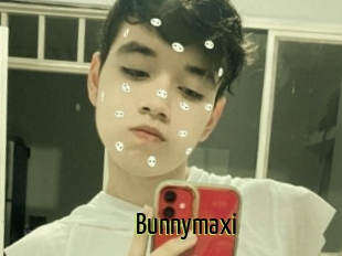 Bunnymaxi