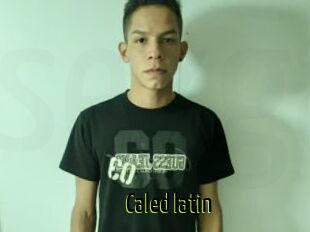 Caled_latin