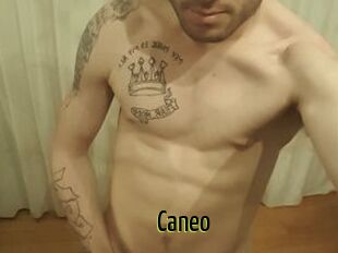 Caneo