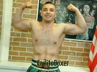 CarlitoBoxer