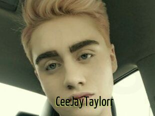 CeeJayTaylorr