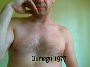 Ciumegul1977
