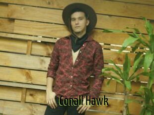 Conall_Hawk