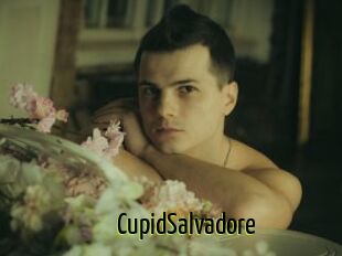 CupidSalvadore