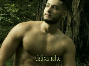 Calixsnake