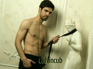 Calvincub