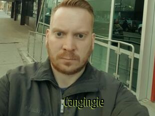 Cangingie