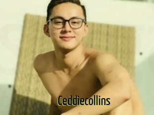 Ceddiecollins