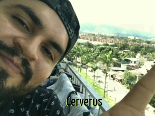 Cerverus