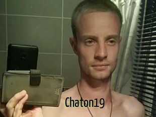 Chaton19