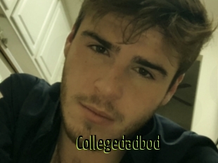 Collegedadbod